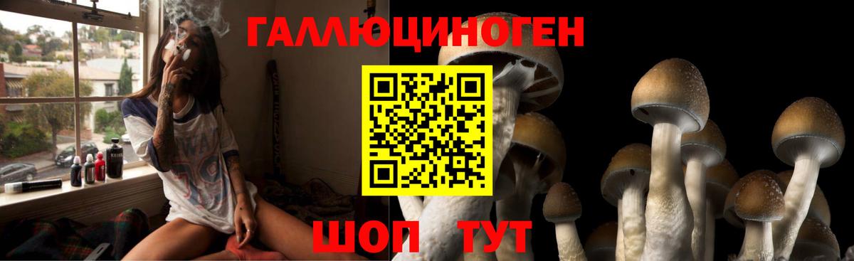 Галлюциногенные грибы Psilocybe  Вход с VPN  Галлюциногенные грибы MAGIC MUSHROOMS  Кириши 
